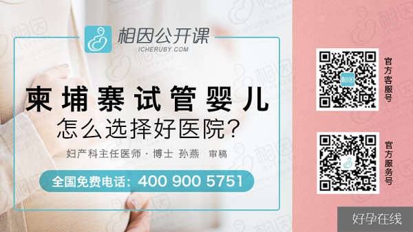 柬埔寨试管哪个医院好