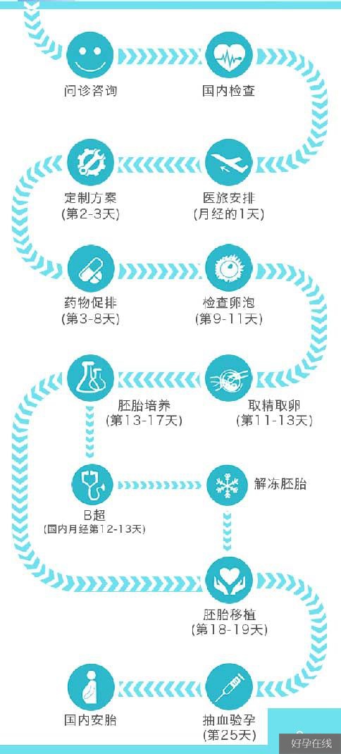 美国试管婴儿周期