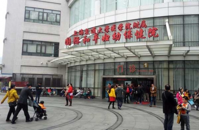 北京上海做试管助孕，上海国妇婴试管婴儿成功率和费用是怎样？