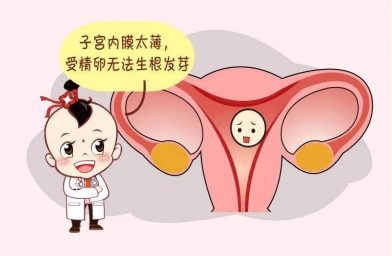 北京备孕试管婴儿知识_子宫内膜薄怎么调理